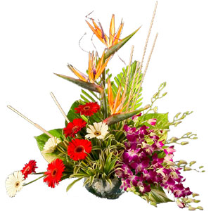 Fashionable Mixed Flowers Arrangement with Pure Passions