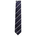 Elegant Tie from Arrow