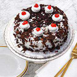 Irresistible Black Forest Cake from Taj or 5 Star Hotel bakery