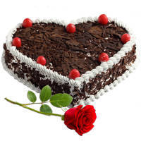 Send Black Forest Cake in Heart Shape N Red Rose