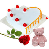 Buy Rose with Teddy   Heart Shaped Vanilla Cake