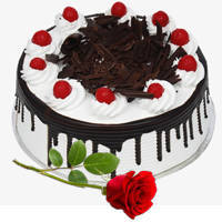 Send Eggless Black Forest Cake with Single Rose
