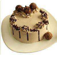 Shop for Ferrero Rocher Chocolate Cake