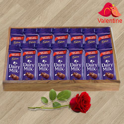 Cadbury Dairy Milk with a Red Rose for your Valentine
