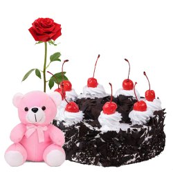 Gift Black Forest Cake with Red Rose N Teddy