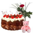 Gorgeous Gift of 1/2 Kg. Cake, Teddy and Red Rose