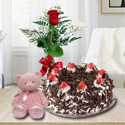 Online Deliver Black Forest Cake with Red Rose and a Teddy