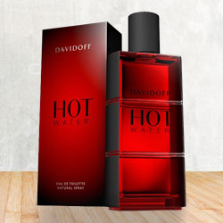 Aromatic Charm Special Davidoff Hot Water Eau de Toilette 100 ml