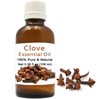 Lovable Collection of 100% Natural Clove Essential Oil