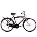 Performance-Inspired BSA Captain Rhino Bicycle