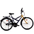 Vibrant BSA Street Rider Bicycle