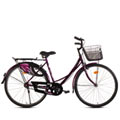 Heart-Alluring BSA Ladybird Dreamz (Junior) Bicycle<br><br>