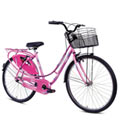 Effervescent BSA Ladybird Splash Bicycle<br>