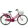 Make My Day BSA Rangoli Bicycle<br>