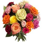 Pretty colorful Two Dozen mixed Roses