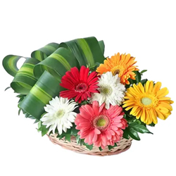 Nagpur Florist to deliver Flowers to Nagpur