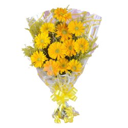 Beautiful One Dozen Gerberas Elegance