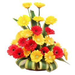 Charming Bouquet of Flashy 20 Gerberas