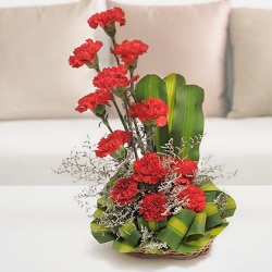 Admirable 12 Red and Pink Carnations