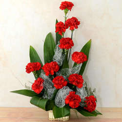 Gorgeous Carnations