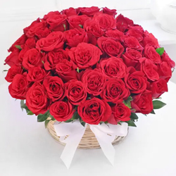 Enchanted Bouquet of 50 Red Roses