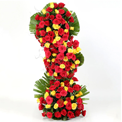 Impressive 100 Colorful Tall Preparation Roses
