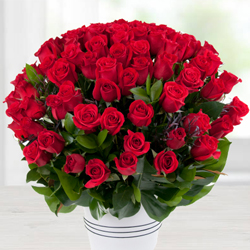 Magical 100 Dutch Red Roses with Alluring Affection