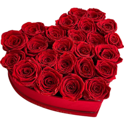 Captivating Red Rose arrangement