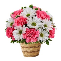 Flowers to Nagpur by Nagpur Florist