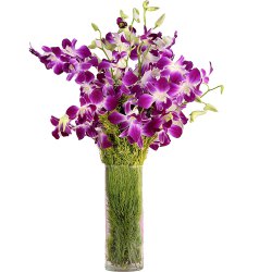 Nagpur Florist to deliver Flowers to Nagpur