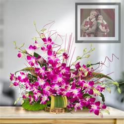 Expressive Cluster of 10 Pretty Orchids