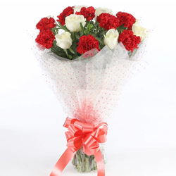 Captivating Constellation of Roses and Carnations