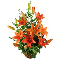 Visually Tender Love Bouquet Of Lilies
