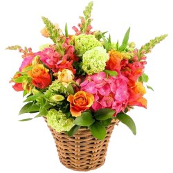 Precious Blooming Happiness Mix Arrangement of Fresh Flowers