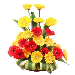 Fashionable Soft Touch Dozen of Mixed Roses in a Vase
