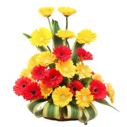 Nagpur Florist to deliver Flowers to Nagpur