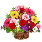 Basket of Sizzling Mixed Flowers