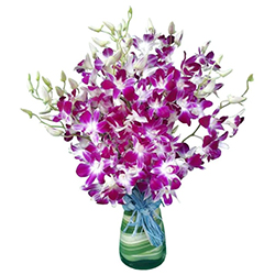 Lovely Orchids in Vase