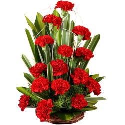 Tropical Red 18 Carnations Arrangement of Happiness