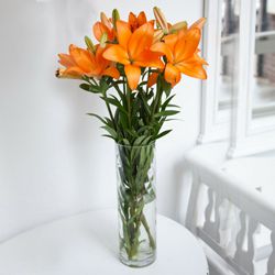 Expressive 6 Pcs. Mixed Lilies with Free Vase Gift