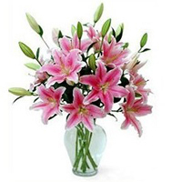 Festive Special Pink Lilies in Vase