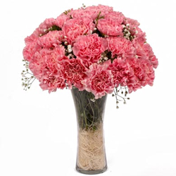 Heavenly Twelve Pink Carnations in Vase