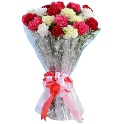 Magnetic Bunch of Mixed Carnations