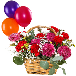 Sentimental Surprise Mixed Carnations in a Basket tied with Balloons