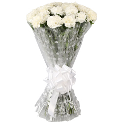 Delicate Tribute White Carnations Collection