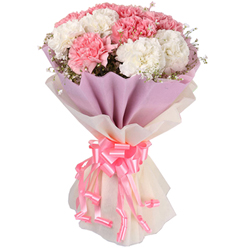 Expressive Collection of White N Pink Carnations