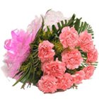 Blushing Collection of Pink Carnations
