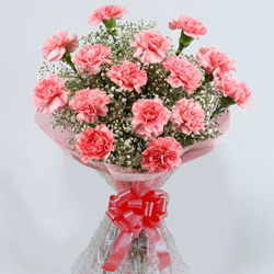 Luxurious Pink Coloured Carnations Arrangement <br>  <br>