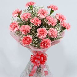 Luxurious Pink Coloured Carnations Arrangement <br> <br>