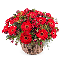 Silky Smooth Bouquet of Red Gerberas